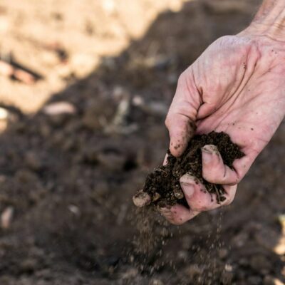 “My Khaterah Is No More” | Aeon